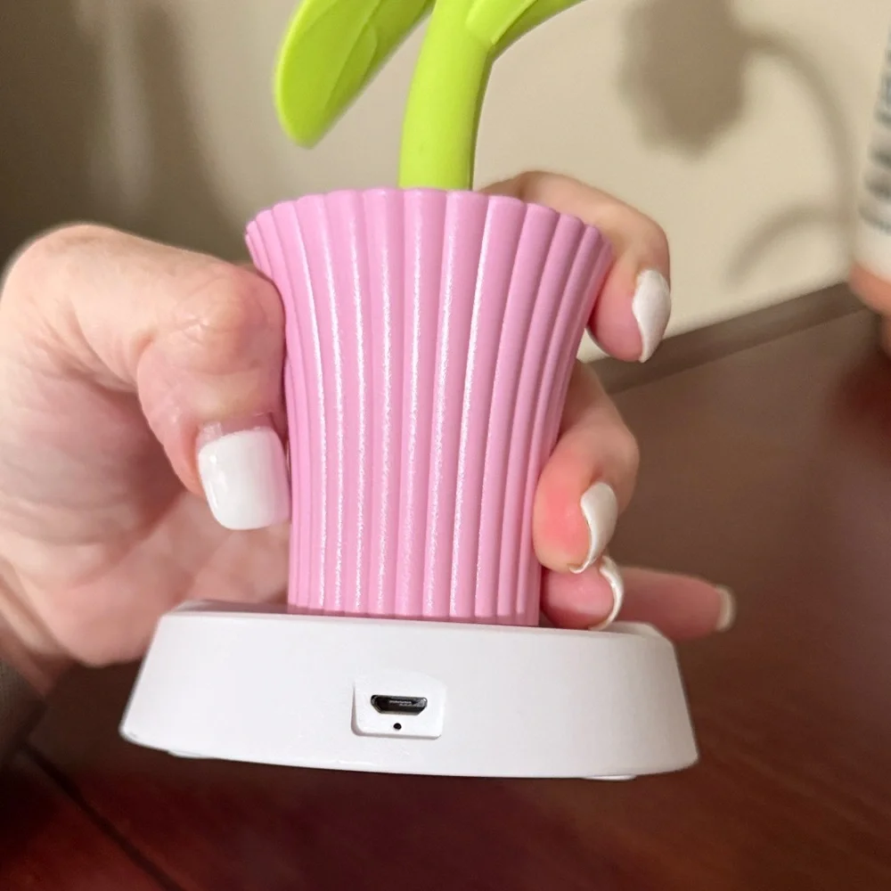 Pink and Green Flower Battery Desk Lamp